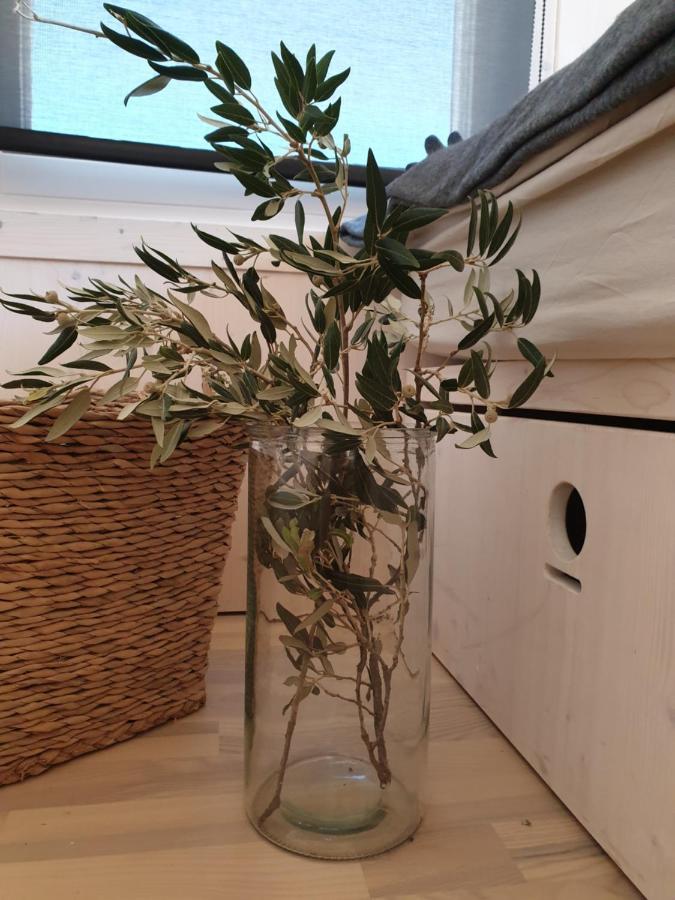 Eco Resort Buqez Villa 34 Drage Eksteriør billede