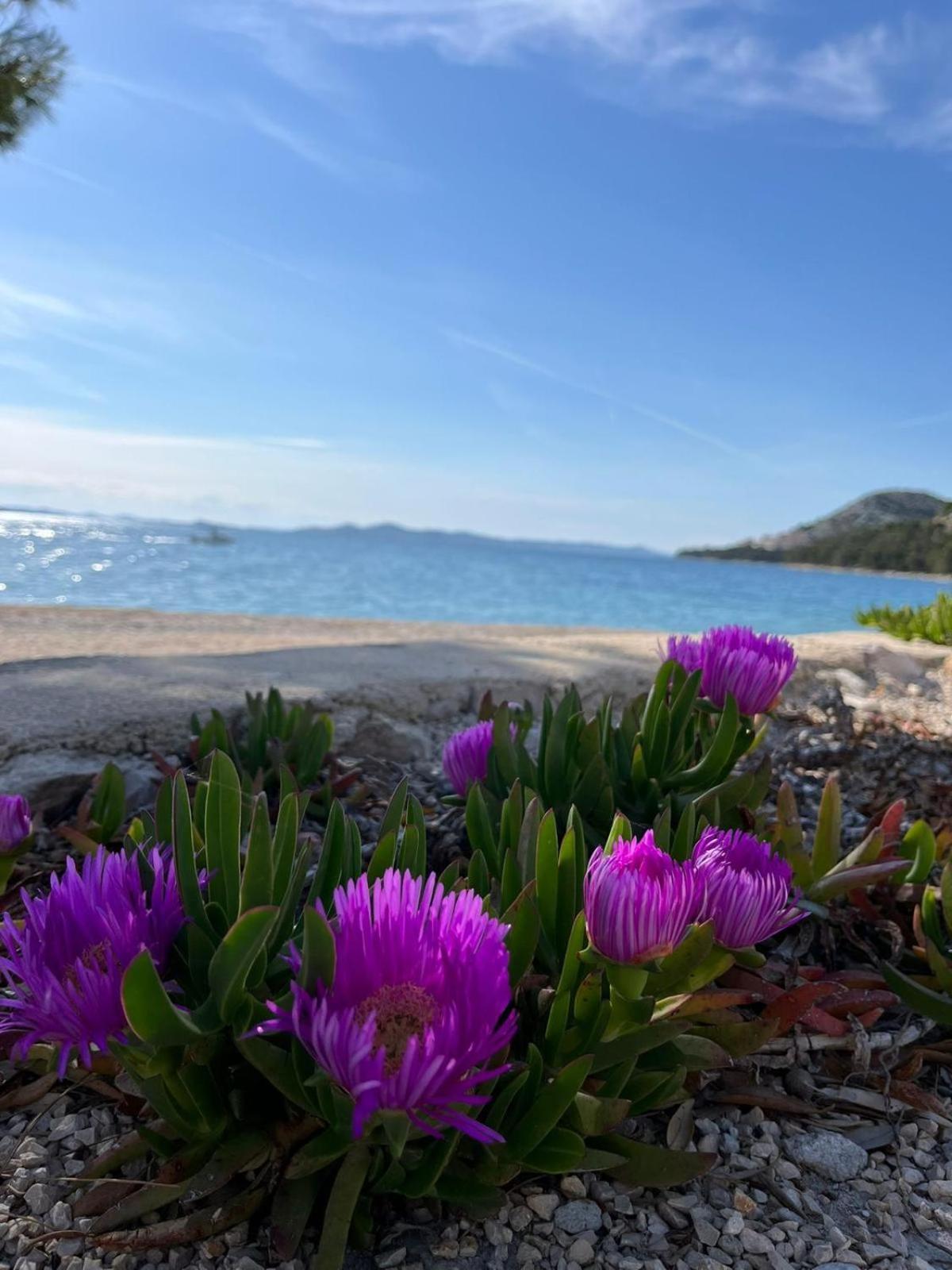 Eco Resort Buqez Villa 34 Drage Eksteriør billede